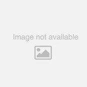 3VU1600-1LS00, OEM, SIEMENS, MOTOR CIRCUIT PROTECTOR, ADJUSTABLE AMPERAGE: 45-63